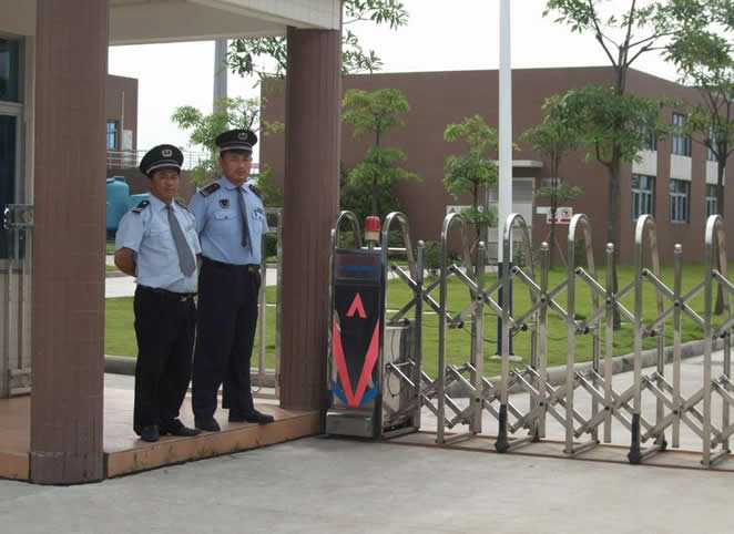 �T�l����