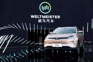 威馬收購(gòu)汽車(chē)租賃公司，布局出行領(lǐng)域的三駕馬車(chē)