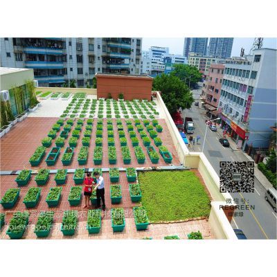 東莞綠家綠市政園林 景觀綠化工程建設方案全解析